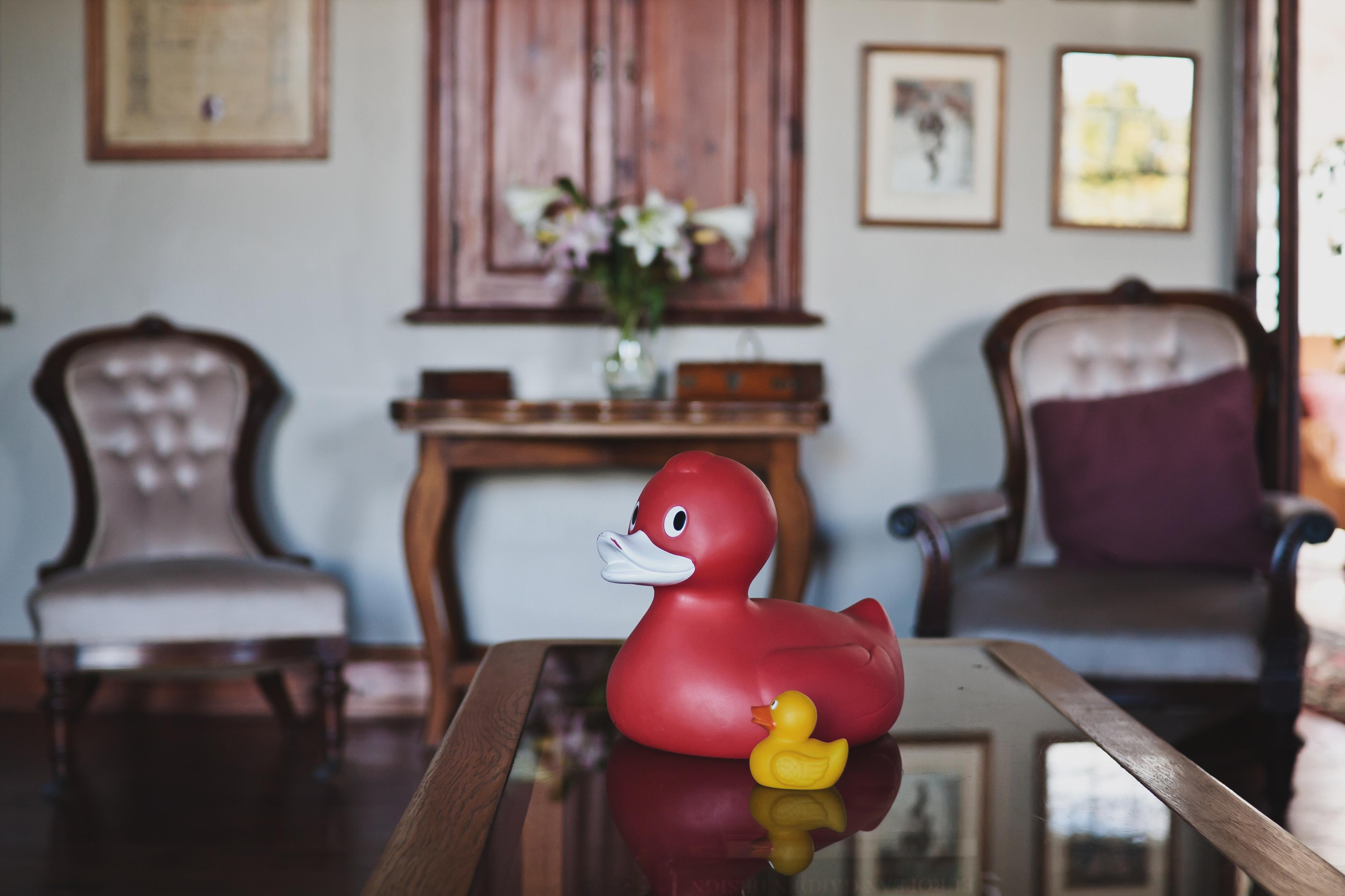 Schoone Oordt Country House Swellendam Eksteriør bilde