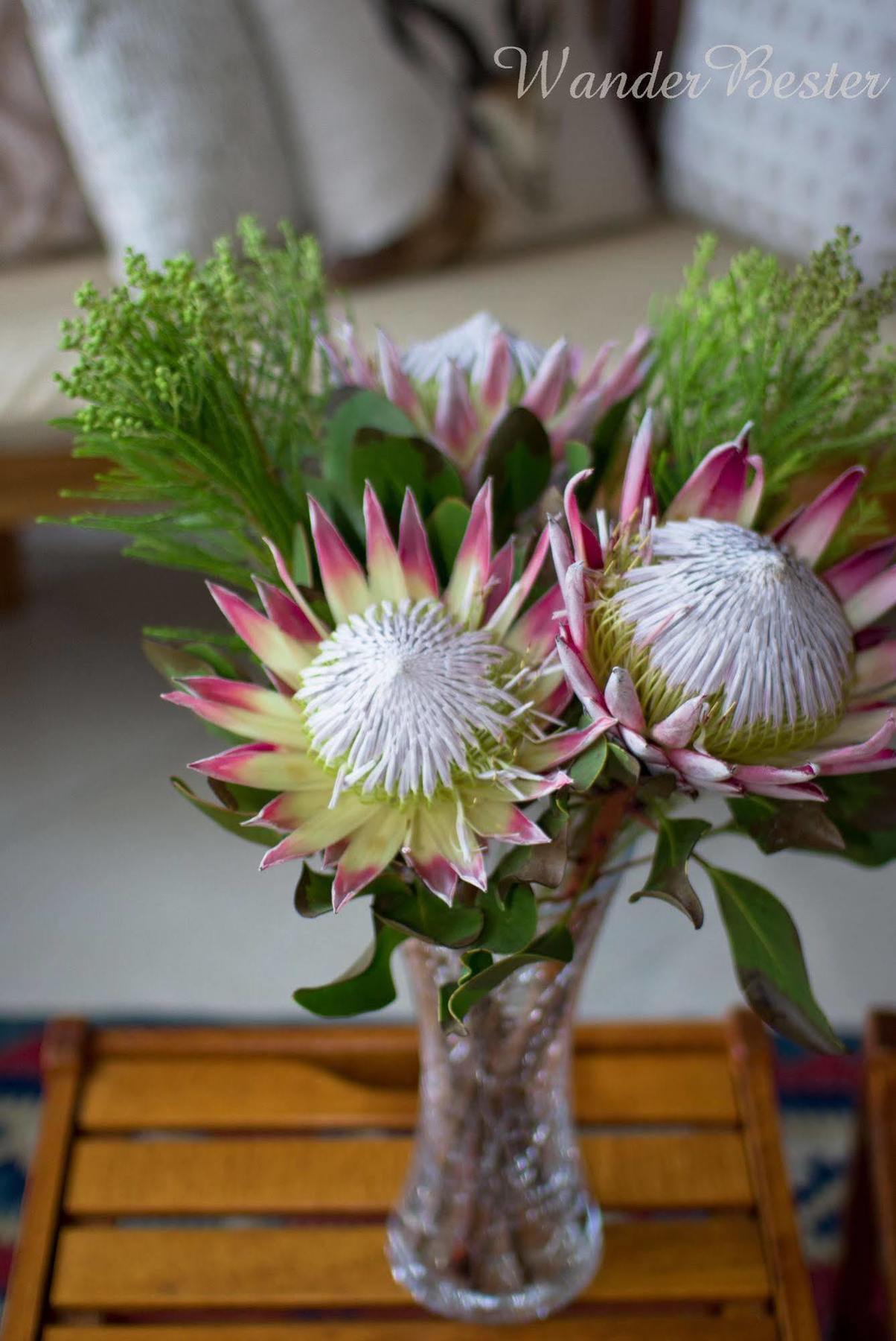 Schoone Oordt Country House Swellendam Eksteriør bilde
